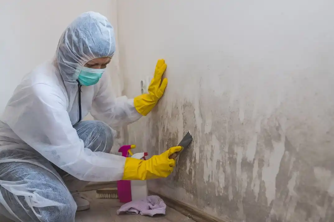 water damage restoration service Grandfather